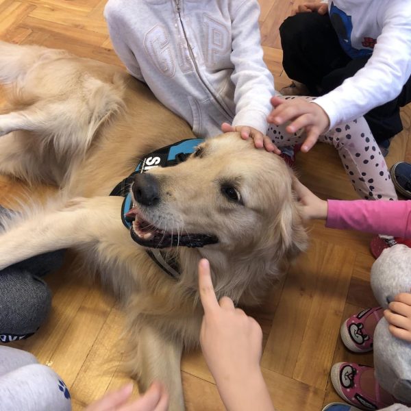 431249973_443647201343400_5678305432689892478_n